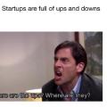 Startups from the Significant Others' Perspective